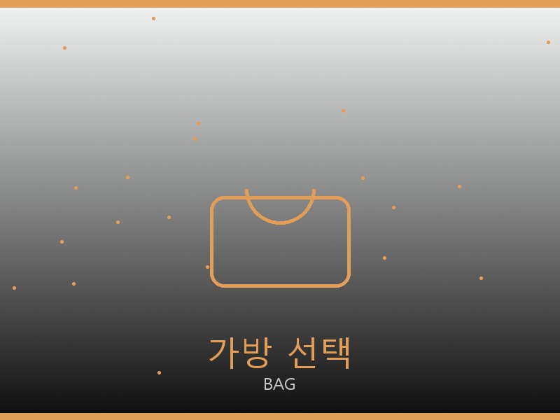 알로 요가 레플리카 사이트 가방 선택 가이드