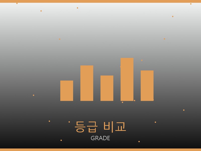 알로 요가 레플리카 사이트 등급 기준 비교